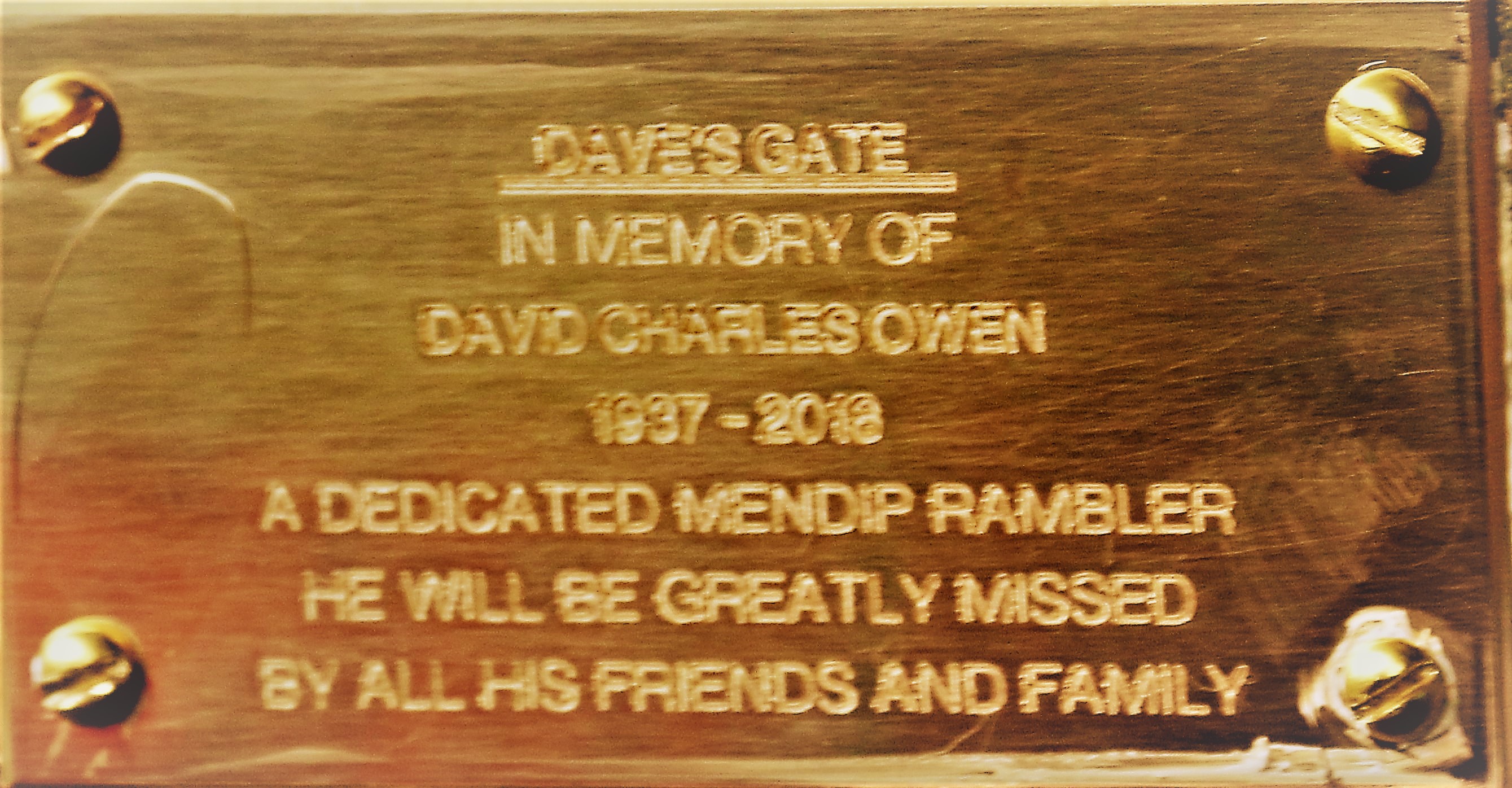 Dave Owen2copy